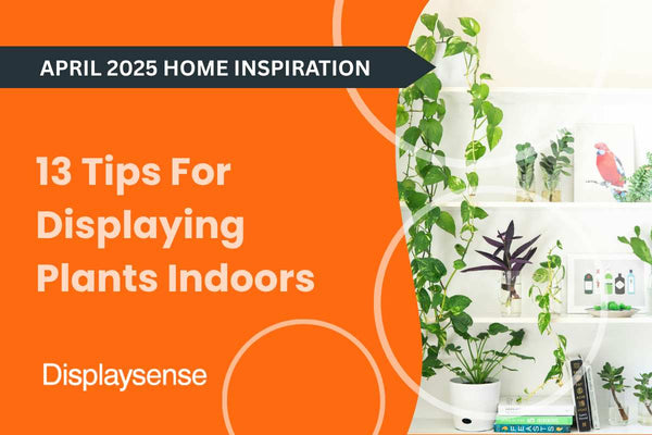 13 Tips For Displaying Plants Indoors