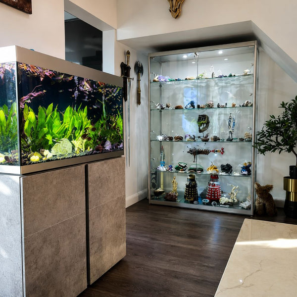 How to Display Collectibles at Home: Room Inspiration & Ideas