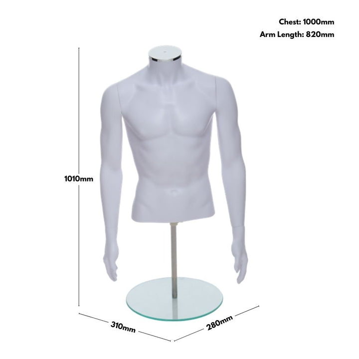 Matt white male torso mannequin with arms – 1010mm height, 1000mm chest, 820mm arm length – perfect for displaying men's clothing.